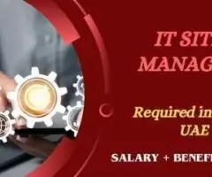 IT Site Manager Required in Dubai