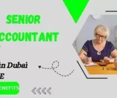 Senior Accountant Required in Dubai