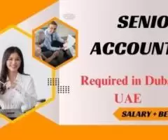 Senior Accountant Required in Dubai