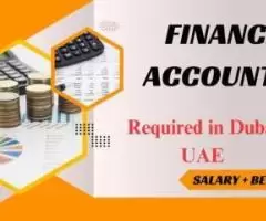 Financial Accountant Required in Dubai