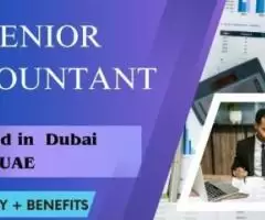 Senior Accountant Required in Dubai