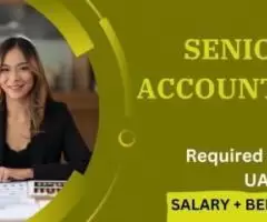 Urgent Senior Accountant Required in Dubai UAE