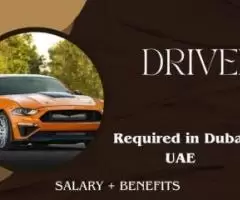 DRIVER Required in Dubai