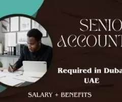 Senior Accountant Required in Dubai