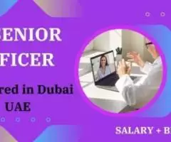 IT Senior Officer Required in Dubai