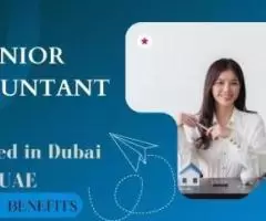 Senior Accountant Required in Dubai