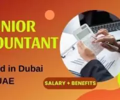 Junior Accountant Required in Dubai