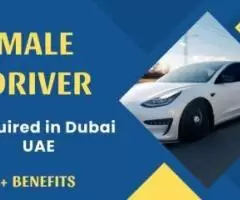 Male Driver Required in Dubai