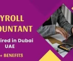 Payroll Accountant Required in Dubai