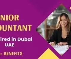 Junior Accountant Required in Dubai