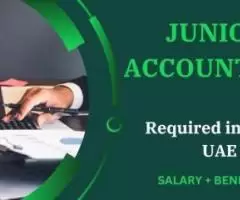 Junior Accountant Required in Dubai