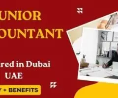 Junior Accountant Required in Dubai