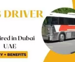 Bus Driver Required in Dubai