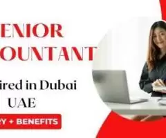 Senior Accountant Required in Dubai