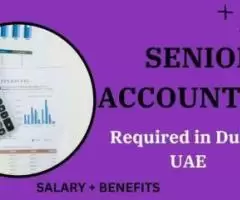 Senior Accountant Required in Dubai