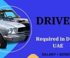 Driver Required in Dubai