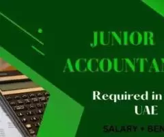 Junior Accountant Required in Dubai