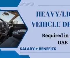 Heavy/Light Vehicle Driver Required in Dubai