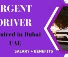 Urgent Driver Required in Dubai