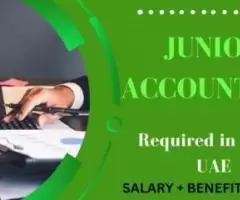 Junior Accountant Required in Dubai