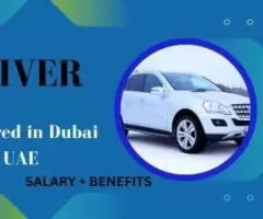 DRIVER Required in Dubai