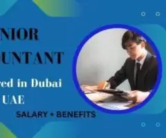 senior Accountant Required in Dubai