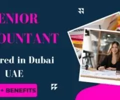 Senior Accountant Required in Dubai