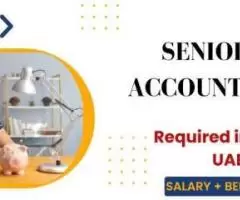 Senior Accountant Required in Dubai