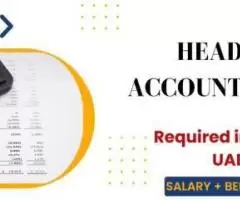 Head Accountant Required in Dubai