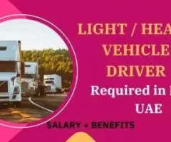 Light & Heavy Vehicle Driver Required in Dubai