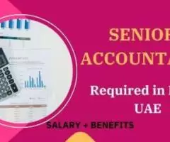 Senior Accountant Required in Dubai