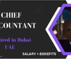 Chief Accountant Required in Dubai