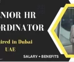 Senior HR Coordinator Required in Dubai