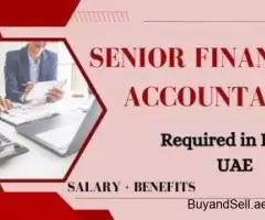 Senior Financial Accountant Required in Dubai