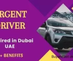 Urgent Driver Required in Dubai