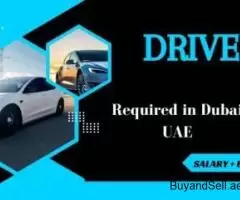 Driver Required in Dubai