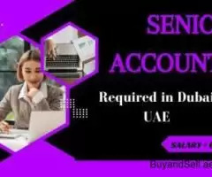 Senior Accountant Required in Dubai