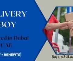 Delivery Boy Required in Dubai