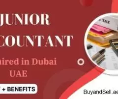 Junior Accountant Required in Dubai