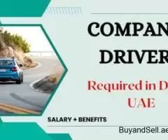 Urgent COMPANY DRIVER Required in Dubai