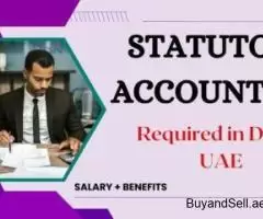 Statutory Accountant Required in Dubai