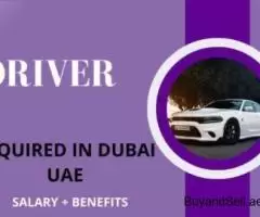 Driver Required in Dubai