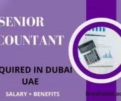 Senior Accountant Required in Dubai