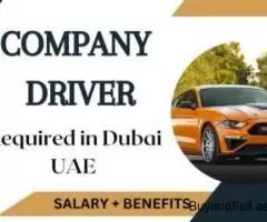 Company Driver Required in Dubai