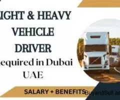 Light & Heavy Vehicle Driver Required in Dubai