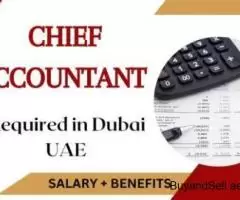 Chief Accountant Required in Dubai