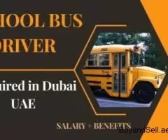 School Bus Driver Required in Dubai