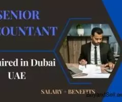 Senior Accountant Required in Dubai