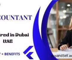 Accountant Required in Dubai