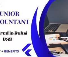 Junior Accountant Required in Dubai